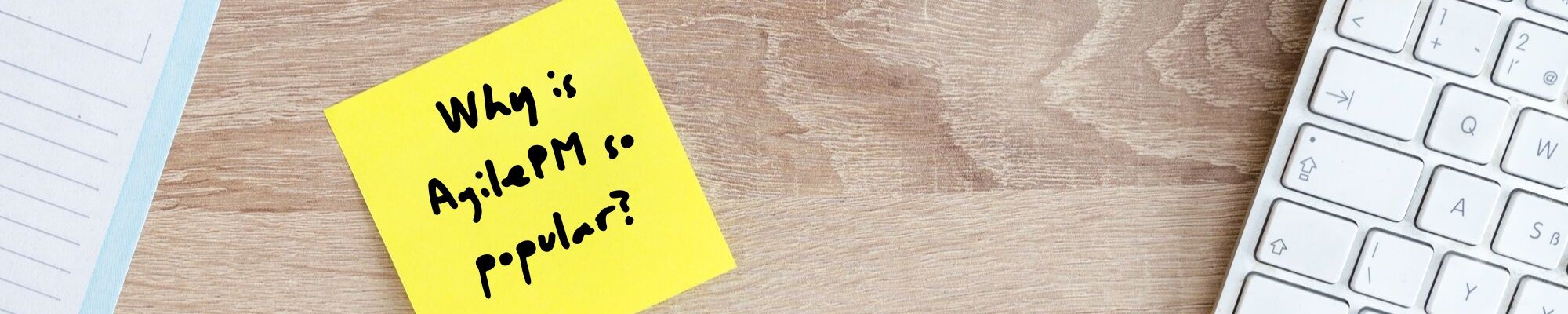 AgilePM blog