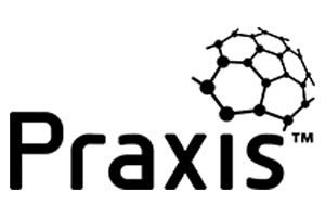 praxis framework training course