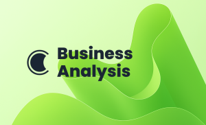 BCS Business Analysis Foundation Course